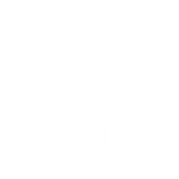 ELEGIRISE